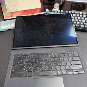 갤럭시탭 S9 울트라 5G 512G