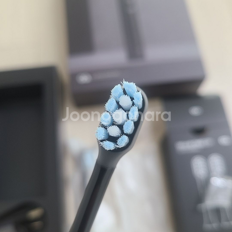 오야 덴티스윙 전동칫솔--1