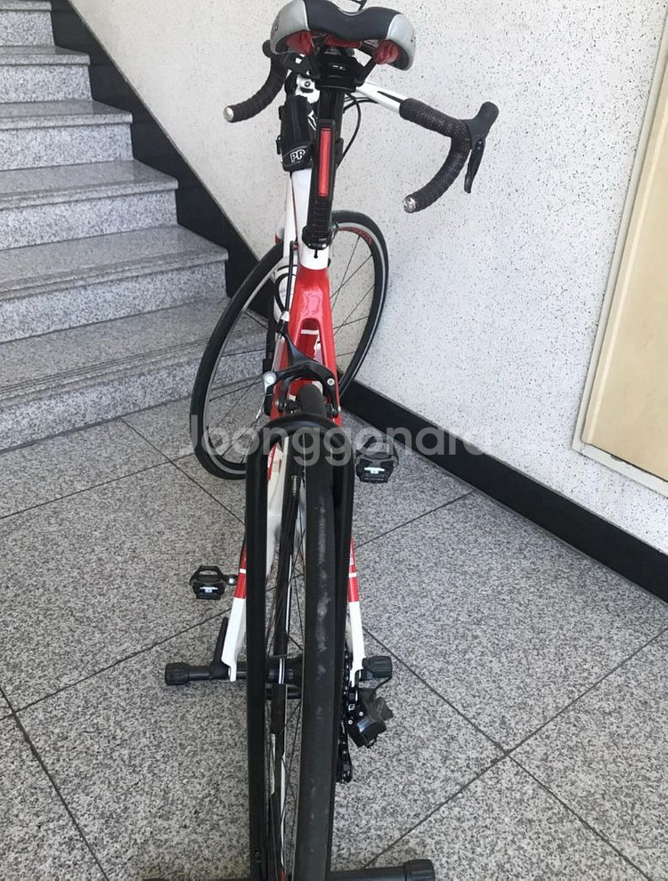 스캇 로드자전거 L(56)--3