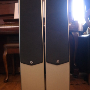 크리스 Criss NS-3.0SE 톨보이 스피커