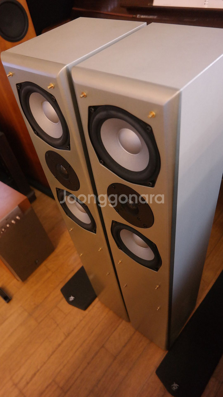 크리스 Criss NS-3.0SE 톨보이 스피커--8