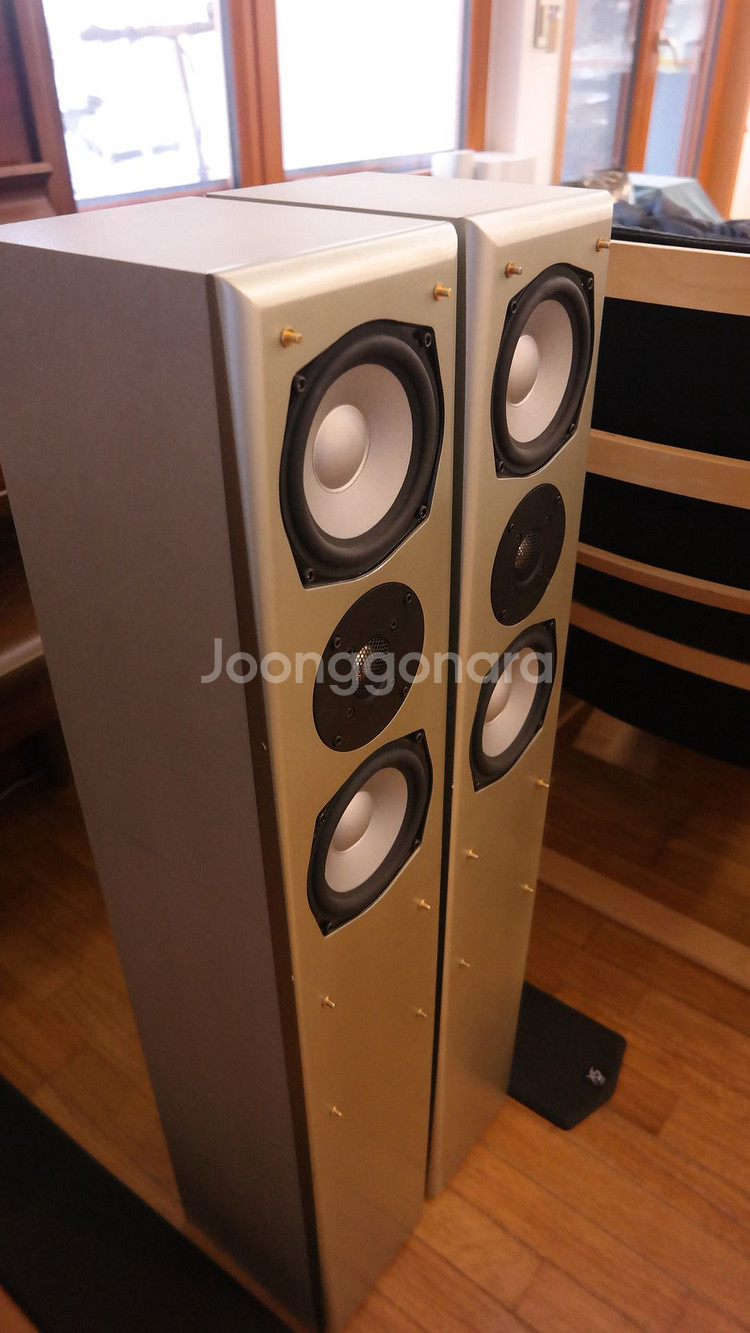 크리스 Criss NS-3.0SE 톨보이 스피커--7