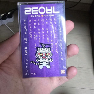 케이팝데몬헌터스 케데헌 호랑이와 까치 뱃지 팔아요