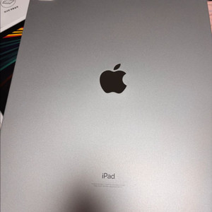 아이패드 프로 5세대 12.9 256GB 와이파이 플박 + 애플펜슬2세대 풀박 + 기타용품포함