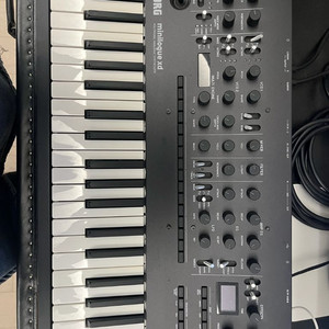 코르그 미니로그 XD