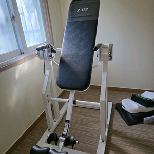 Z-UP 전동 거꾸리 운동기구