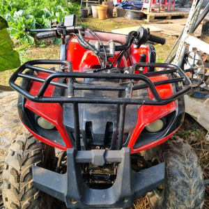 110cc 4륜 오토바이