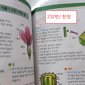 글송이 퀴즈과학상식 1-88번 미사용 새책컨디션