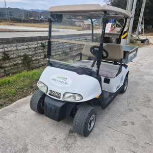 전동 골프카 이지고 2인승 화물 전동카트 골프카트