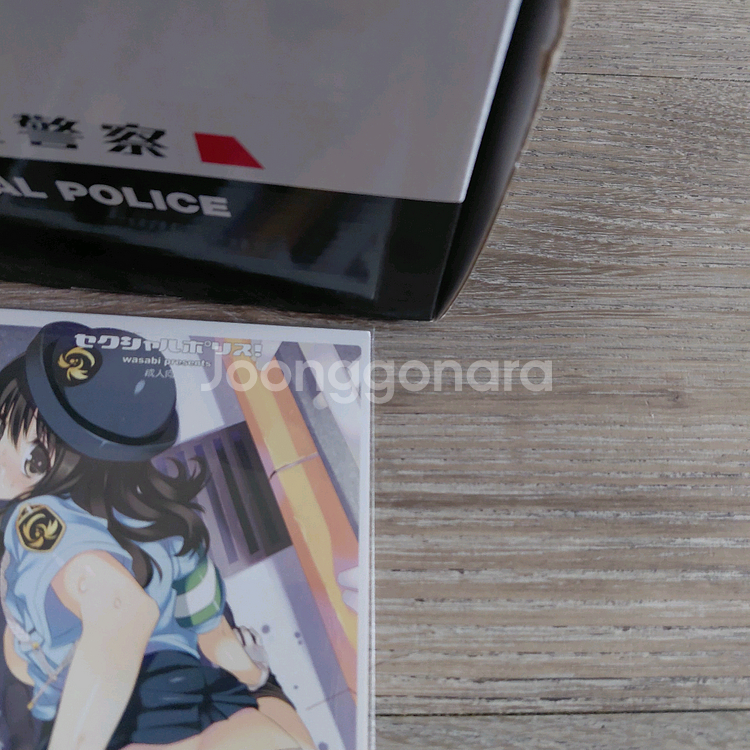 네이티브 섹슈얼폴리스 중고 송료무료--1