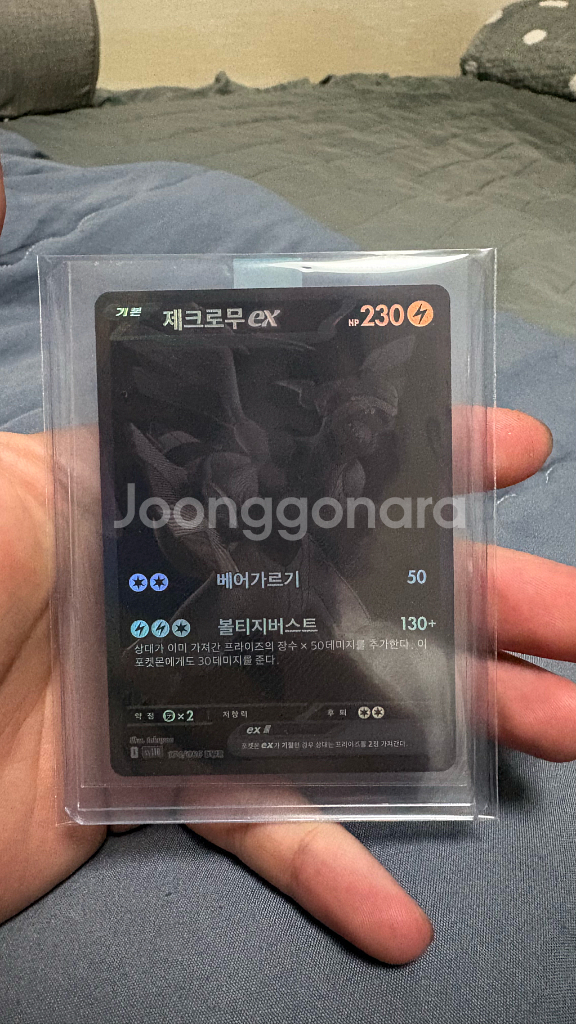 포켓몬카드 제크로무 EX--1