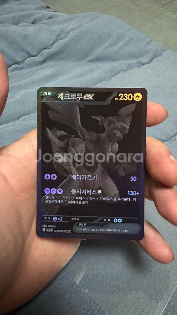 포켓몬카드 제크로무 EX--0