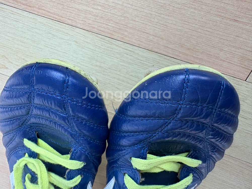 미즈노 모렐리아 네오 엘리트 재팬 270--2