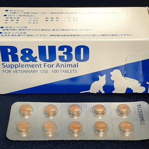 알앤유 30 강아지 영양제