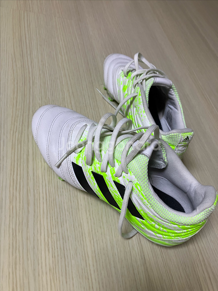 아디다스 코파 MG 축구화--0