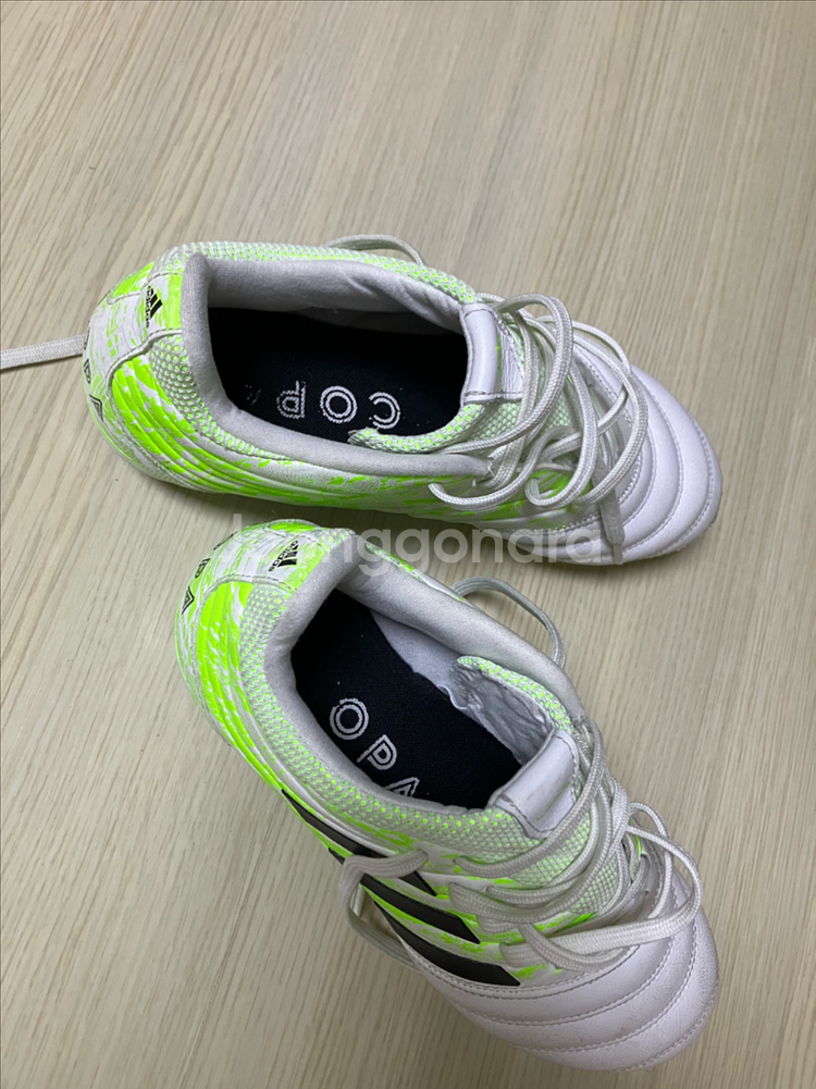 아디다스 코파 MG 축구화--1