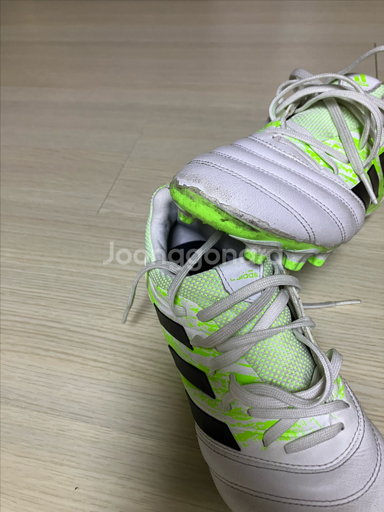 아디다스 코파 MG 축구화--2