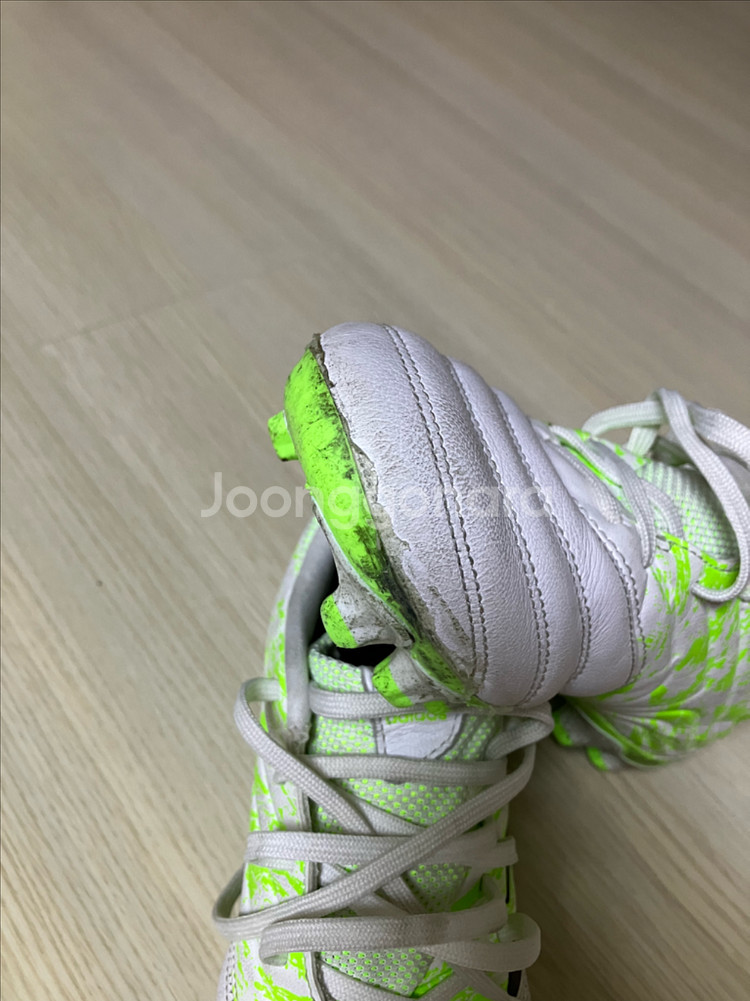 아디다스 코파 MG 축구화--3