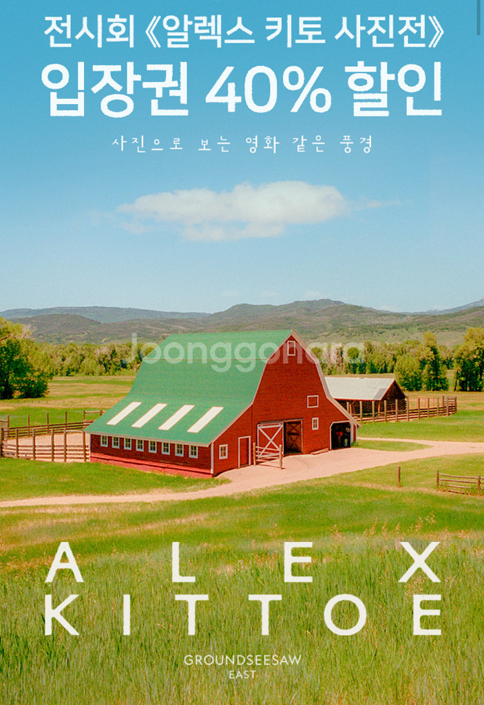 칼답가능)알렉스 키토 사진전 40% 할인쿠폰--0