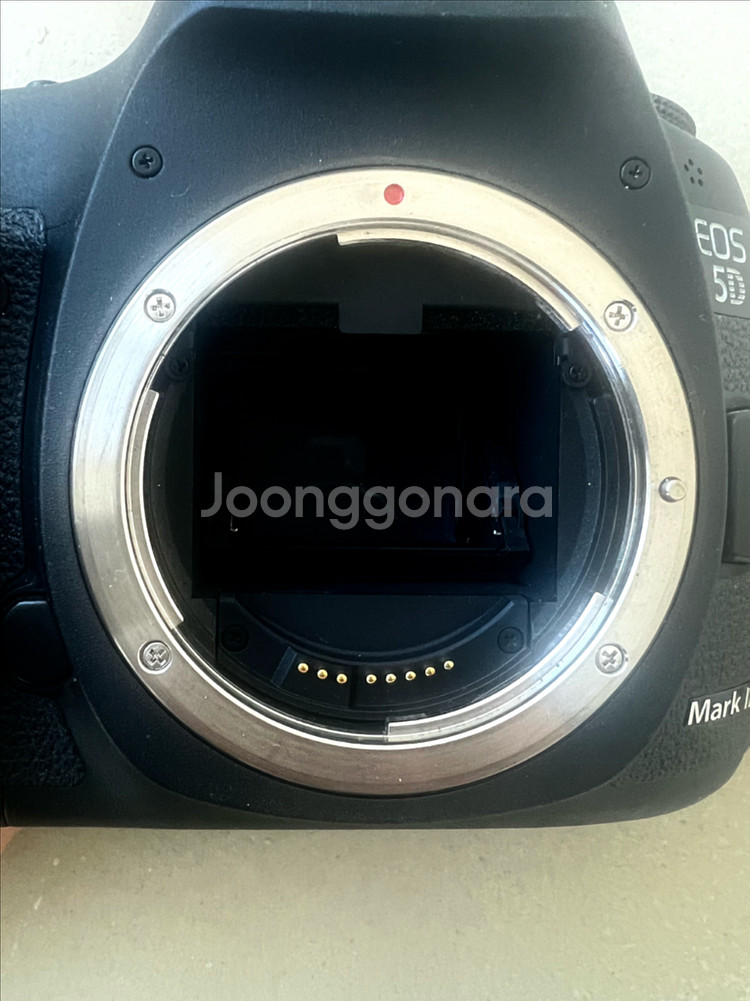 캐논 EOS 5D Mark III + EF 24-70mm f2.8 ll usm (신계륵)--6