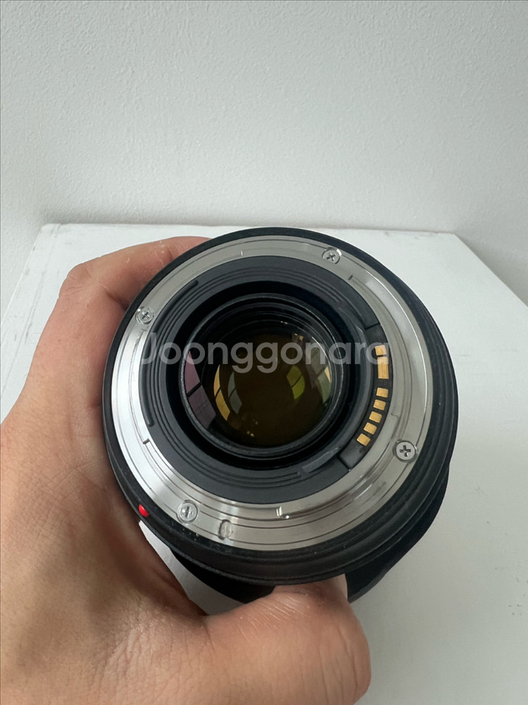 캐논 EOS 5D Mark III + EF 24-70mm f2.8 ll usm (신계륵)--9