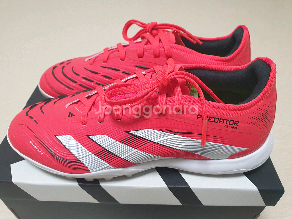 아디다스 프레데터 프로 TF (240)--2