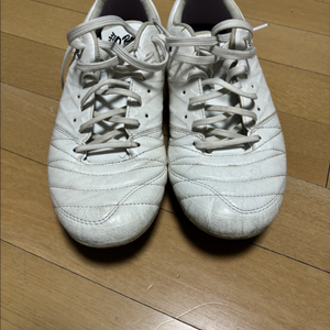 아술레타 T7 mg 260