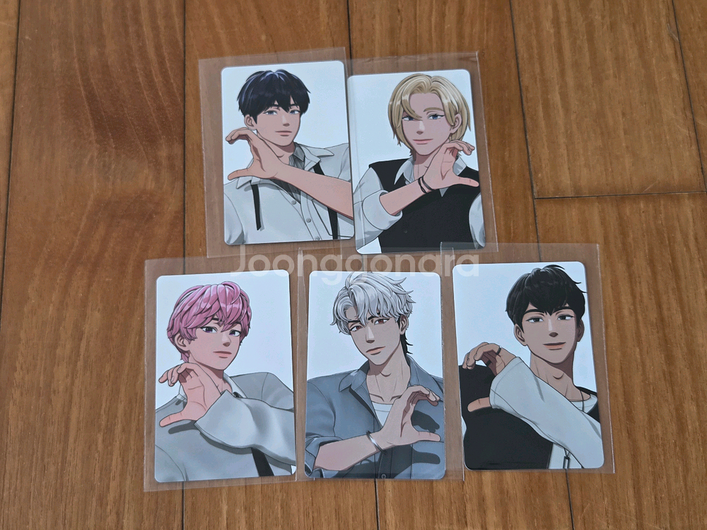 플레이브 틱톡 포카 일괄--0