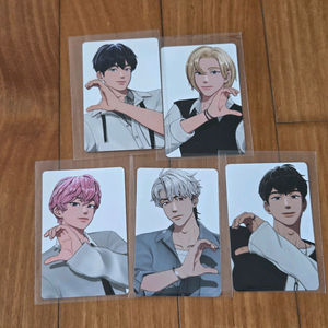 플레이브 틱톡 포카 일괄