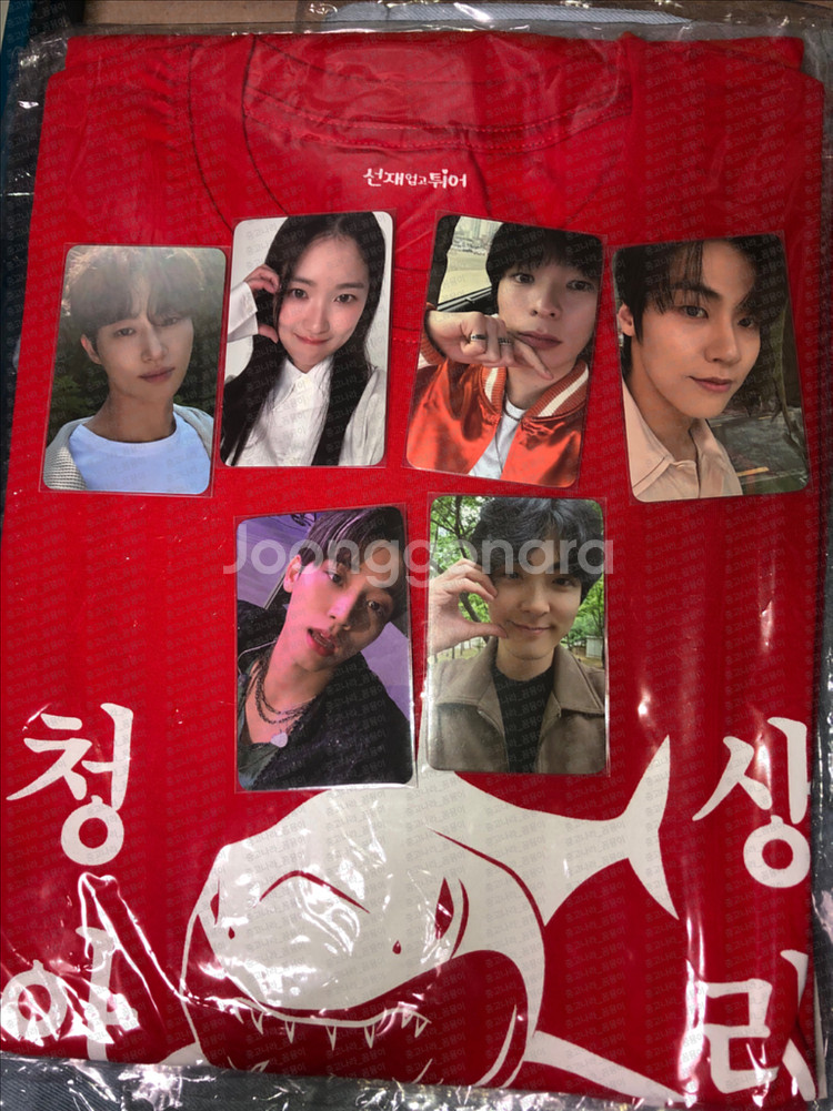 선재업고튀어 청상아리 티셔츠 포토카드--0