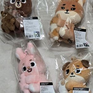 데이식스 데니멀즈 나안아 원가양도