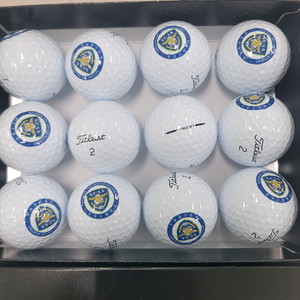 타이틀리스트 프로 PRO V1 골프공 12개 세트