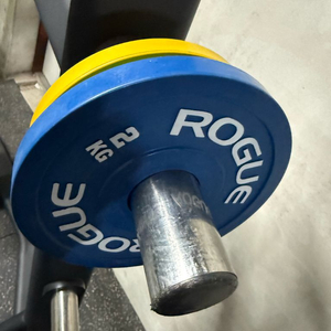 로그 정품 저중량 원판