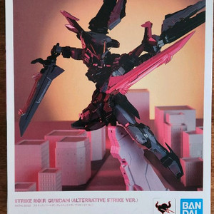 메탈빌드 스트라이크느와르 iwsp 더합체 단쿠가