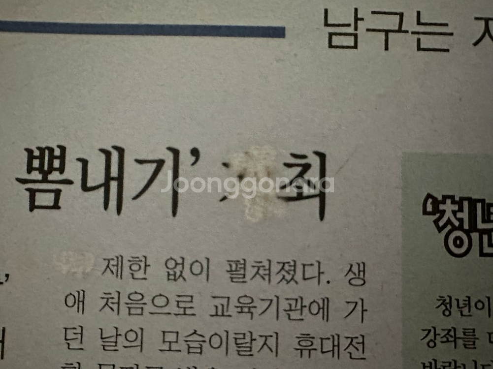 엔디야그 반영구 눈썹 문신 피부토닝 레이저 기계--5