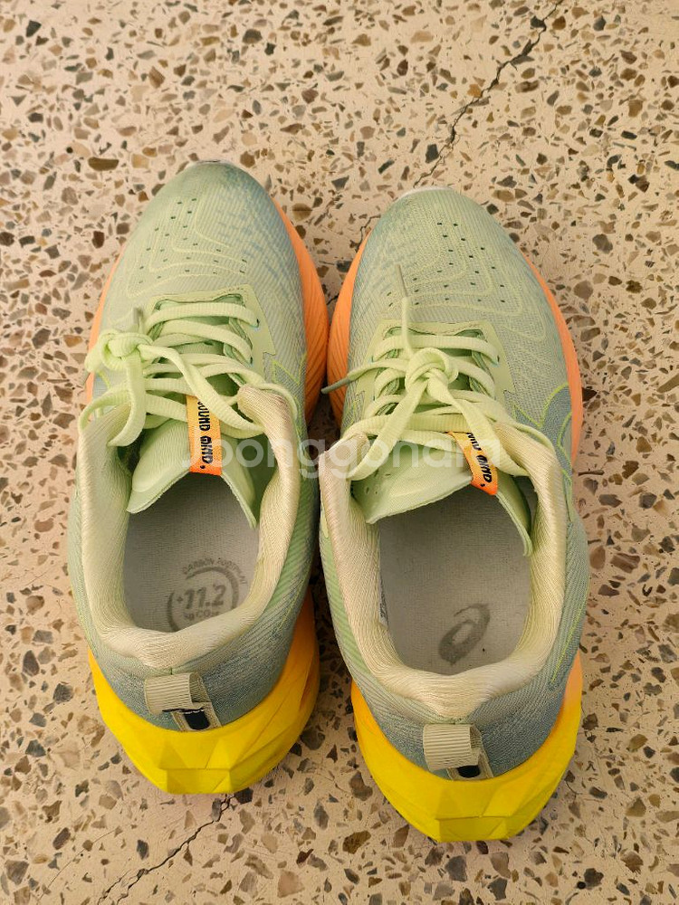 아식스 노바블라스트4 250--1