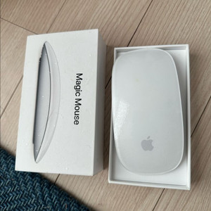 애플 매직마우스 2세대