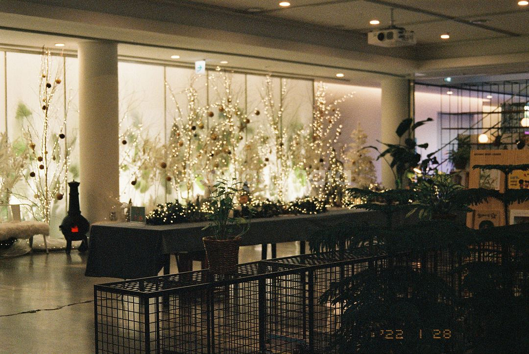 [제니필카] 후지필름 NATURA CLASSICA 자동필카--9