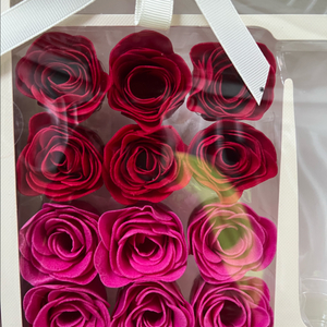 캐스키드슨 라 튤립 배씽플라워 핑크6 + 로드레드6