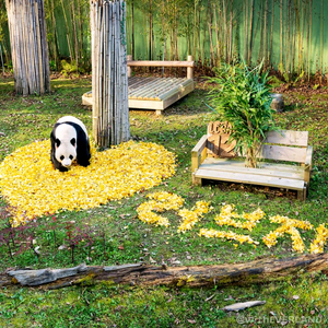 에버랜드 자유이용권 종일권 오후권
