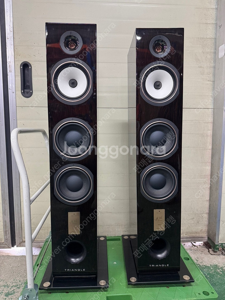 [판매] Triangle 트라이앵글 40주년 기념 앙탈 ANTAL 톨보이 스피커--1