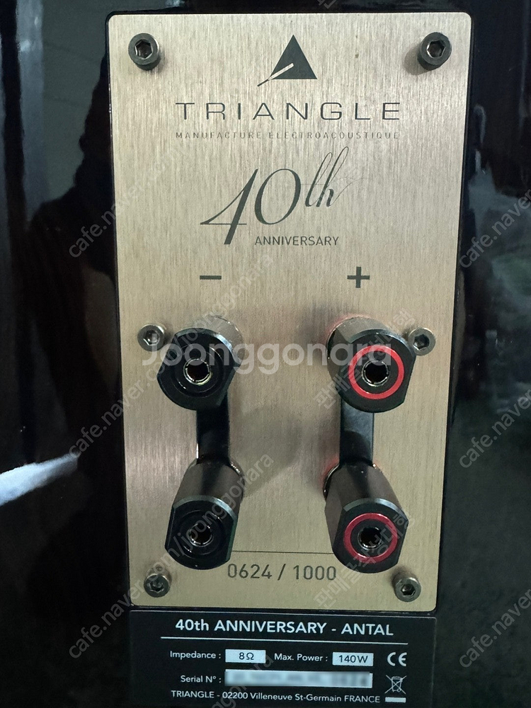 [판매] Triangle 트라이앵글 40주년 기념 앙탈 ANTAL 톨보이 스피커--2