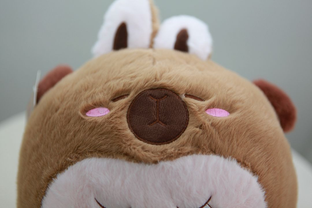 카피바라 옷 입은 라부부 대형 인형 이미지