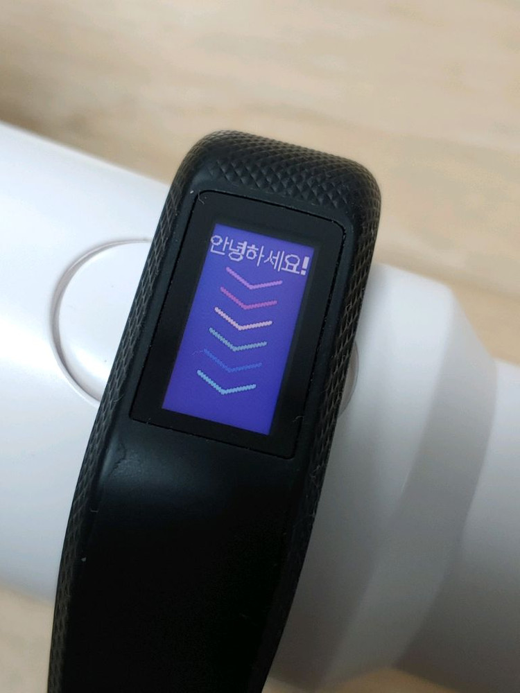 가민 비보스포츠 VIVOSPORT 이미지