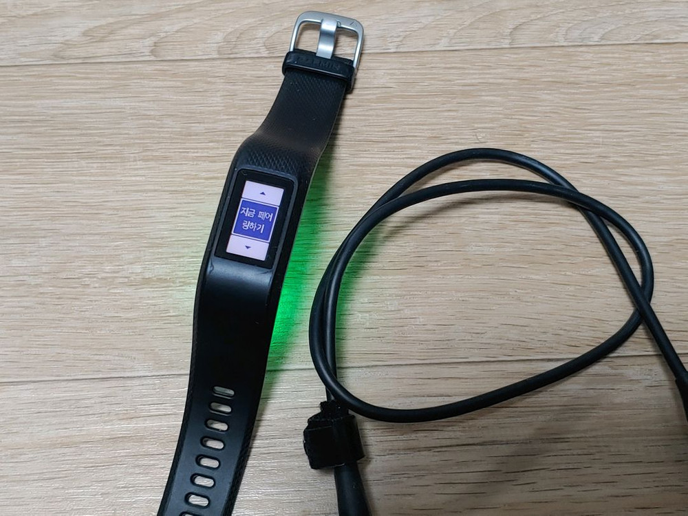 가민 비보스포츠 VIVOSPORT 이미지