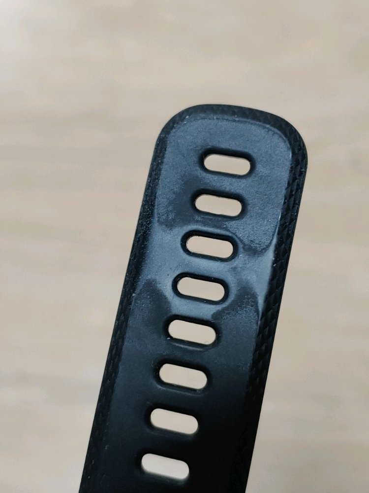 가민 비보스포츠 VIVOSPORT 이미지