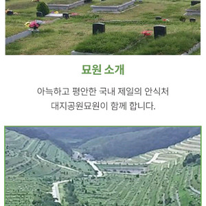 대지공원묘원 묘지