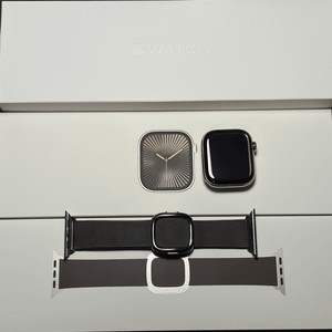 애플워치10 42mm 티타늄골드+모던버클 애플케어