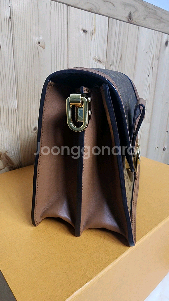 루이비통 도핀 MM--6