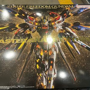 Mgex 스트라이크 프리덤 건담 판매합니다 택포